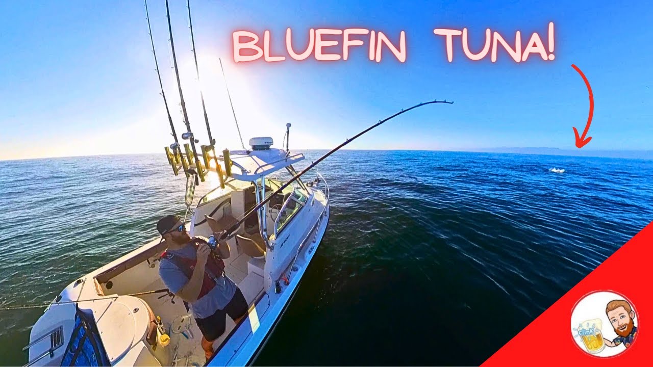 Bluefin Tuna Fishing THREE MILES FROM SHORE! - Fishing Oceanside