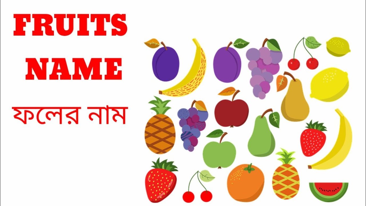 Fruits name in bengali। bangla faler name।ফলের নাম । YouTube