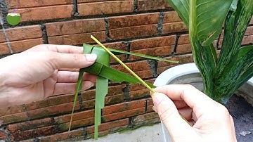 Hướng dẫn làm con cá bằng lá dừa