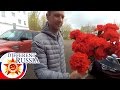 Russia: Provincial Flower Base &amp; Local Cemetery in Moscow Region on Victory Day 2017