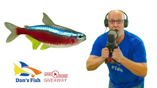 Ep 312 Cardinal Tetra GIVEAWAY