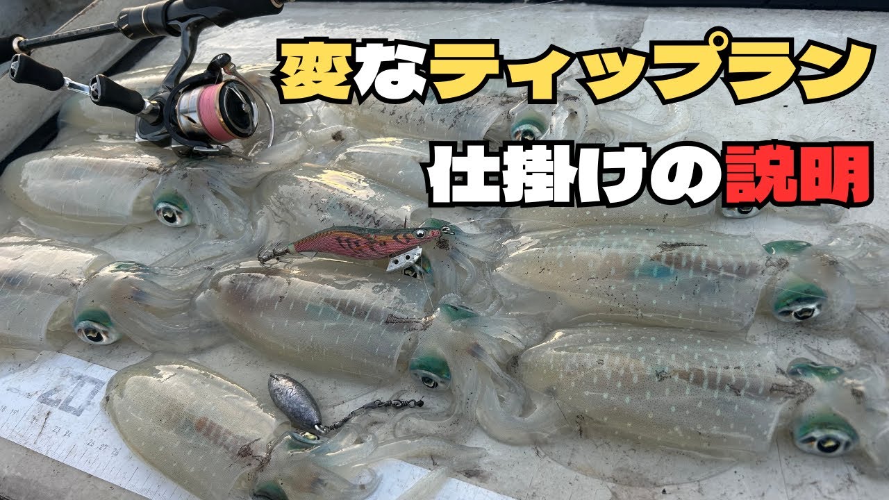 【ティップラン】　変なティップラン解説　説明は難しい #에깅