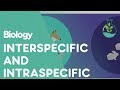 Ecological Interactions In Communities: Understanding Species Relationships