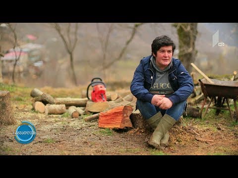 #ქალებისქისა - მაღალმთიანი ტვიში, მეღვინე ქალის ერთი დღე და წლების წინ დაწყებული საყვარელი საქმე