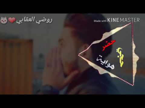 محمد سالم مالي حيل