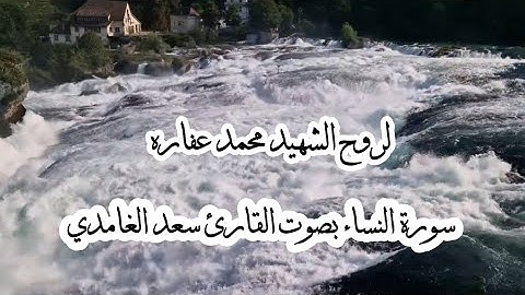 قرآن || سورة النساء بصوت القارئ سعد الغامدي 