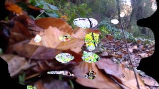 Download Lagu Keemiyo - Song for Can Cabestany MP3