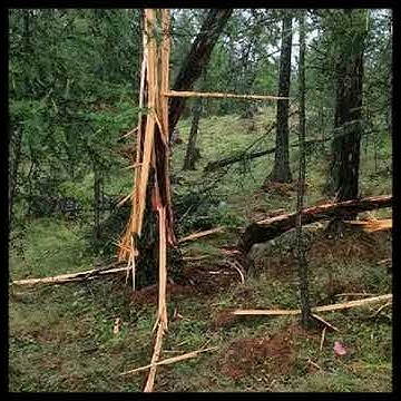 Удар молнии - YouTube