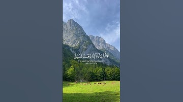 سورة يوسف [ ١٦ - ١٧  ] وجاءُوا أَباهُم عِشَاء يَبكُون #شريف_مصطفى