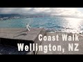 ⛵️ Walking Wellington CBD Coast Walk | New Zealand | Go Pro 8