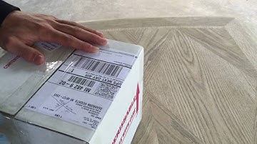 UNBOXING-Amazon Tree Boa