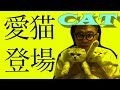 ep11..愛猫と忍#cat