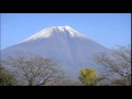 「だんちょね節」 神奈川県民謡 cover 清紅