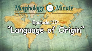 Morphology Minute Episode 10