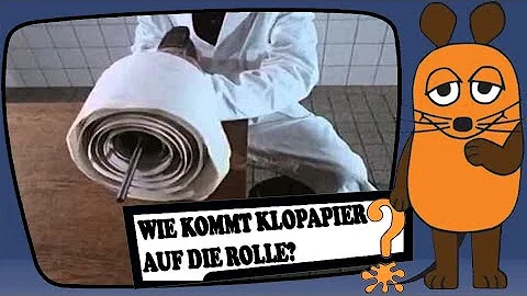 Wie lange kommt man mit 1 Rolle Klopapier aus?