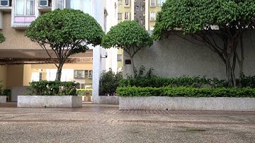 New V120D02S First Outdoor Flight