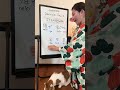 No cats were harmed in the making of this video #japaneselesson #learnjapanese