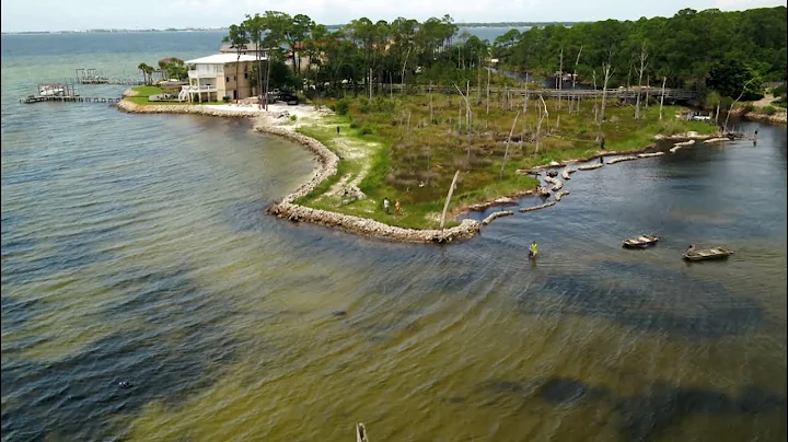 ‘Living shorelines’ use oyster shells and marsh grass to reverse coastal erosion - DayDayNews