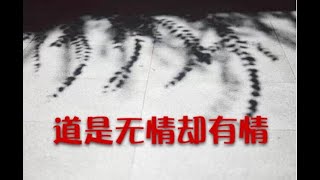 201310 道是无情却有情30063
