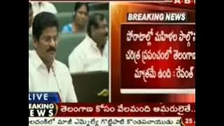 revanth reddy kodangal pulibidda song