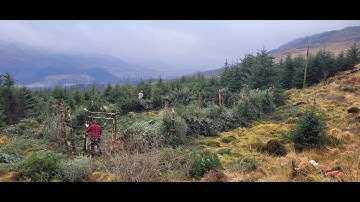 Restoring Hardknott Forest: Brash hedge construction