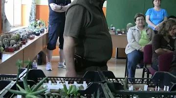 Proč zalévat kaktusy?