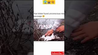 Oh No,This Poor Kitten Is Dying By Seawage,Please. 😱🥺🥰 #Youtubeshorts #Viral #Sad #Kitten