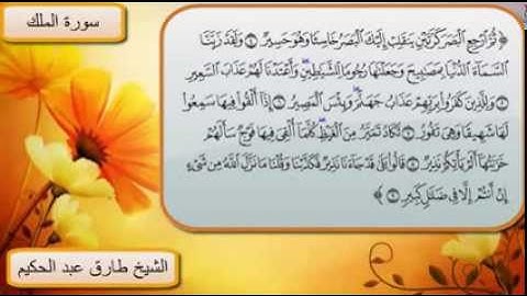 سورة الملك للشيخ طارق عبد الحكبم (المصحف المرئى )