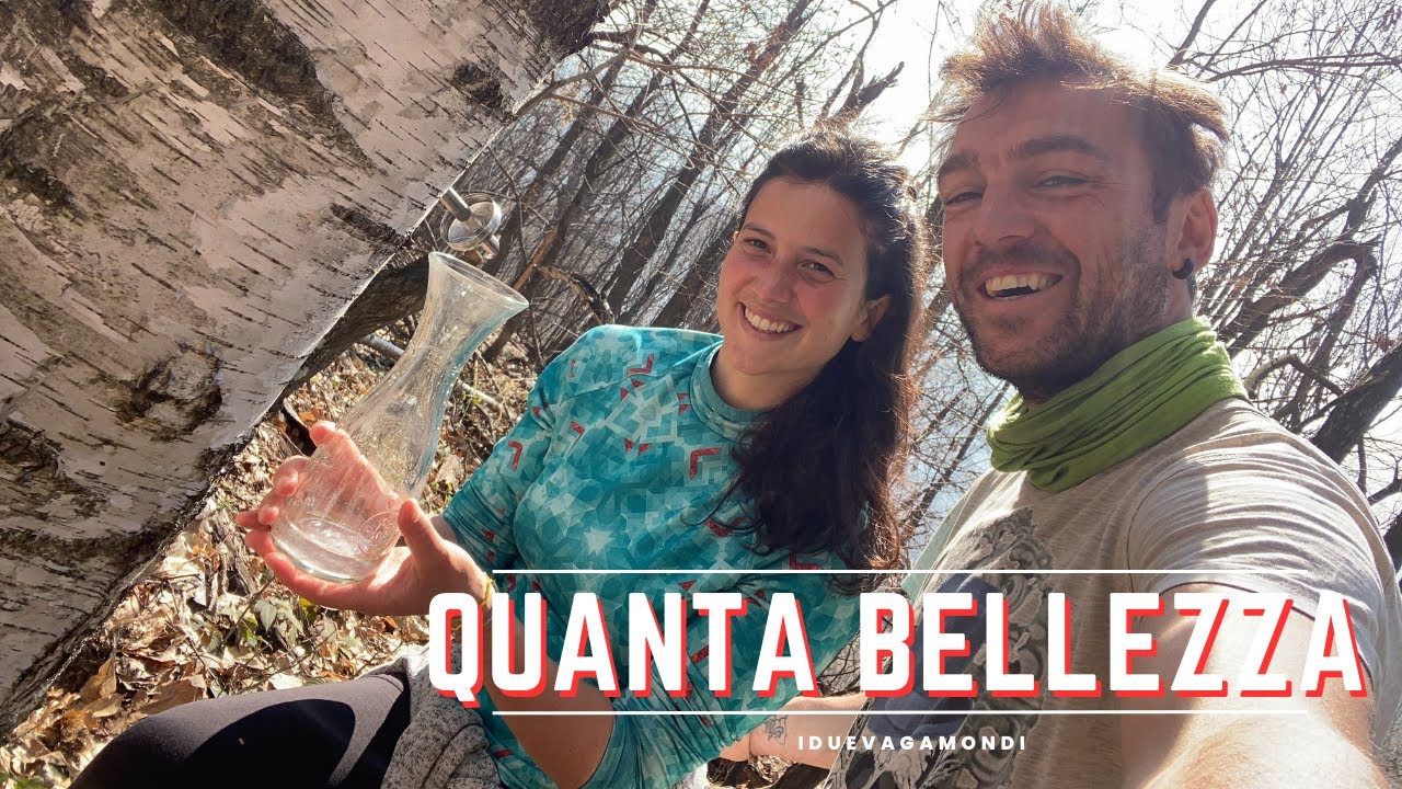 Una SORPRESA continua dalla NATURA, GRAZIE! - Ep. 462 - Vita in Montagna