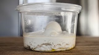 What To Do With OVERPROOFED Pizza Dough | Reballing Over Fermented Pizza Dough To Make Panuozzo
