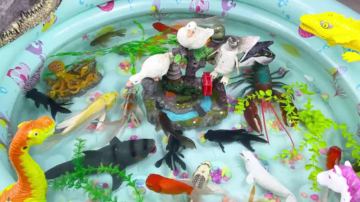 Let's explore what fish and sea creatures there are:sharks,jellyfish#goldfish#animals#viral videos