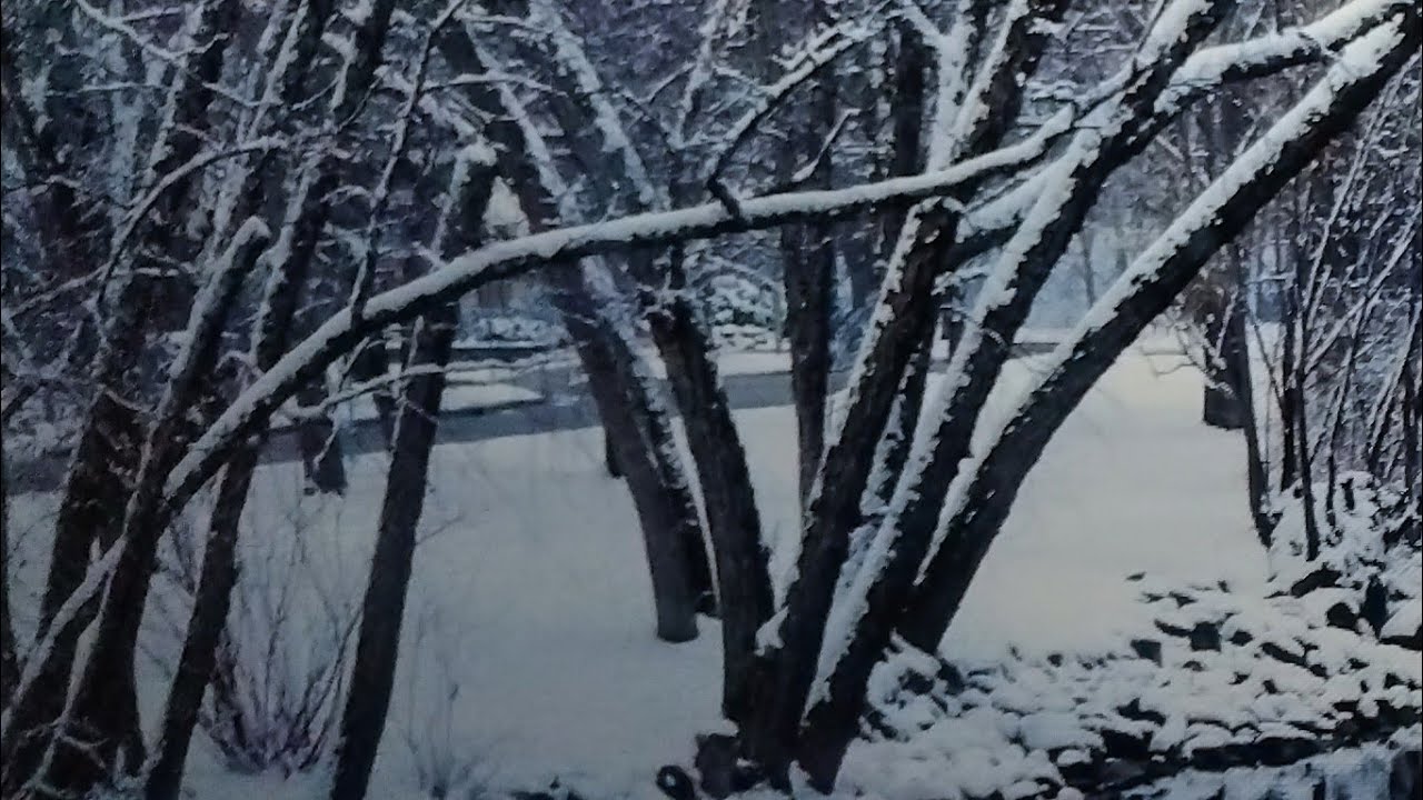 Moroccans in Florida  is live!