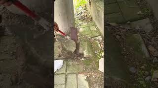 Removing Broken Bricks and Preparing Ground Foundation Safely