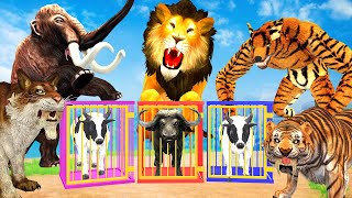 Giant Tiger Wolf Monster Lion Attack 10 Cow Cartoon Buffalo Saved By Giant Elephant Mammoth Wildlife