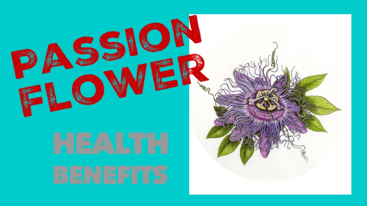 3 Passion Flower Health Benefits - YouTube