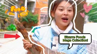 Bizarre Foods Mega Collection 