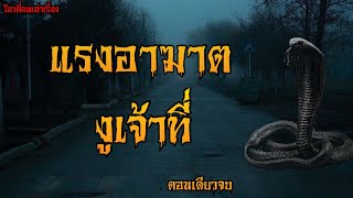 แรงอาฆาต งูเจ้าที่ | โอวตี่คนเล่าเรื่อง