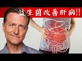 益生菌修復肝病與脂肪肝, 何時吃益生菌? 自然療法,柏格醫生 Dr Berg