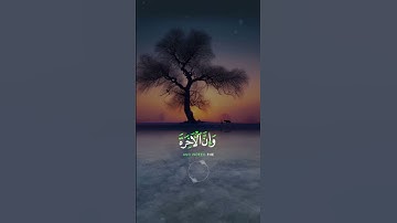 📖سورة غافر 🎙️عمر عبد الله