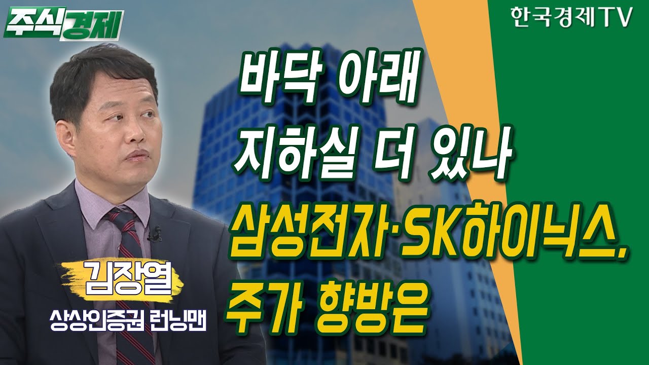 바닥 아래 지하실 더 있나…삼성전자·SK하이닉스,주가 향방은(김장열)/ 주식경제 이슈분석 / 한국경제TV