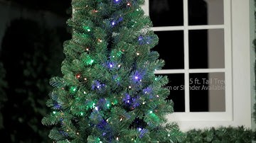 Upgrade Your Holiday Tree With Versaline® App-Enabled Color-Flip