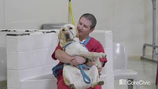 CoreCivic Crossroads Correctional Center Dog Program
