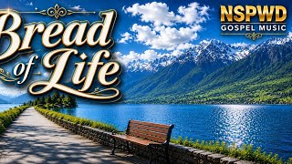 BREAD OF LIFE – Jesus Our Provider | Inspirational Christian Song 2026