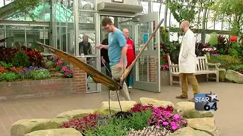 Butterfly show continues at Krohn Conservatory