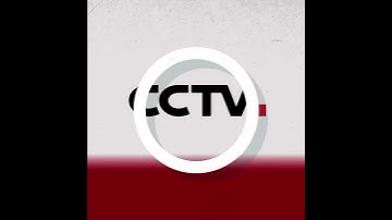 Wild panda goes on an adventure | CCTV English