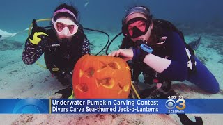 Divers Get Creative In Underwater Pumpkin Carving Contest
