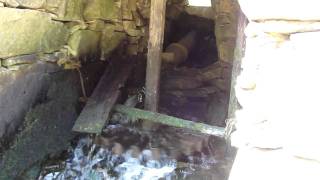 Moinhos da Freirôa em Albergaria-a-Velha - Rodizio_1