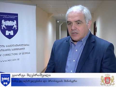 გიორგი მღებრიშვილმა სასჯელაღსრულების სისტემაში მომუშავე ექთნებს პროფესიული დღე მიულოცა