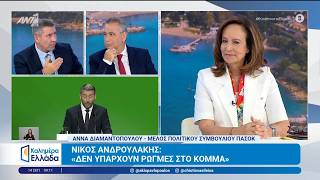 Η Άννα Διαμαντοπούλου, μέλος Πολιτικού Συμβουλίου ΠΑΣΟΚ, μιλάει στο Καλημέρα Ελλάδα - 14/09/2026