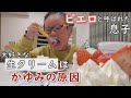 クリスマスに血が出るほど…かゆくなるけど食べたい美味しいモノ！お肉に、生クリームも…CBCドキュメンタリー　CBCテレビ定期配信型ドキュメンタリー「ピエロと呼ばれた息子」第３８話